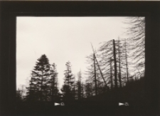 Karkonosze 1932 [Dokument ikonograficzny]