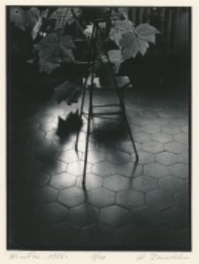 Wrocław 1986 [Dokument ikonograficzny]