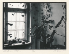 Wrocław 1985 : 1/10 [Dokument ikonograficzny]