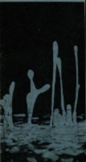 Nadobnisie i koczkodany czyli Zielona pigułka - program [Dokument życia społecznego]