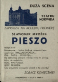 Pieszo - afisz [Dokument życia społecznego]