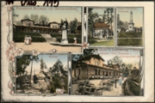 Buchholz b. Löwenberg i. Schl. [Dokument ikonograficzny]