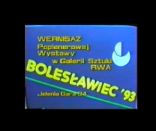Ogólnopolski Plener Ceramiczny Bolesławiec'93 [Film]