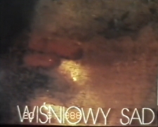 18. Jeleniogórskie Spotkania Teatralne. Wiśniowy sad [zapis spektaklu] [Film]