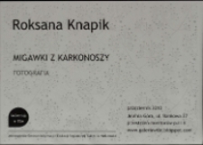 Roksana Knapik - Migawki z Karkonoszy : fotografia - plakat [Dokument życia społecznego]