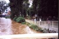 Jelenia Góra - Cieplice - powódź - most i cmentarz [Dokument ikonograficzny]