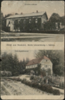 Gruß aus Neuland, Kreis Löwenberg i. Schles. [Dokument ikonograficzny]