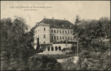 Gruß aus Hohlstein b. Löwenberg i. Schl. "Schloß Hohlstein" [Dokument ikonograficzny]