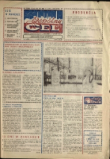 Wsp&oacute;lny cel : gazeta załogi ZWCH "Chemitex-Celwiskoza", 1989, nr 3 (1084)