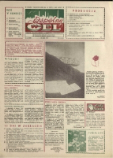Wsp&oacute;lny cel : gazeta załogi ZWCH "Chemitex-Celwiskoza", 1989, nr 14 (1095)
