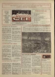 Wspólny cel : gazeta załogi ZWCH "Chemitex-Celwiskoza", 1989, nr 15 (1096)