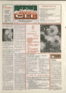 Wspólny cel : gazeta załogi ZWCH "Chemitex-Celwiskoza", 1989, nr 20 (1101)