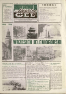 Wspólny cel : gazeta załogi ZWCH "Chemitex-Celwiskoza", 1989, nr 26 (1107)