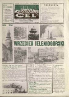 Wsp&oacute;lny cel : gazeta załogi ZWCH "Chemitex-Celwiskoza", 1989, nr 26 (1107)