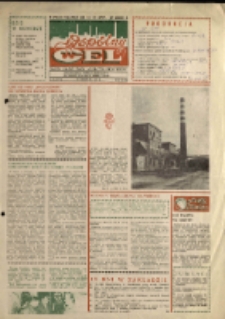 Wspólny cel : gazeta załogi ZWCH "Chemitex-Celwiskoza", 1989, nr 32 (1113)