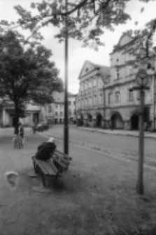 Chełmsko Śląskie - kamieniczki (fot.5) [Dokument ikonograficzny]