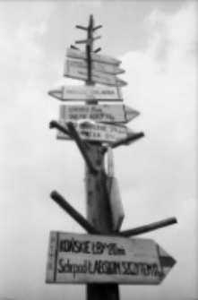 Oznaczenia szlaków turystycznych (fot. 1) [Dokument ikonograficzny]