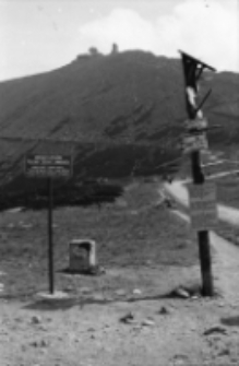 Oznaczenia szlaków turystycznych (fot. 3) [Dokument ikonograficzny]