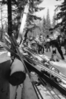 XVII Bieg Piastów 1993 (fot.30) [Dokument ikonograficzny]