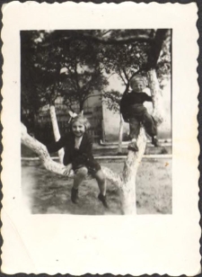 Zjazd rodziny Pawluków - dzieci na podwórku koło studni, lata 60. XX w. (Fot. 4) [Dokument ikonograficzny]