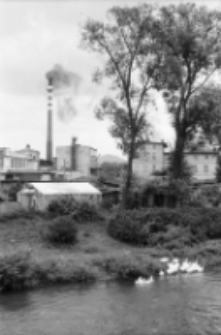 Jelenia G&oacute;ra - rzeka Kamienna (fot. 1) [Dokument ikonograficzny]