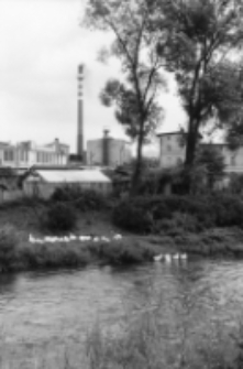 Jelenia Góra - rzeka Kamienna (fot. 2) [Dokument ikonograficzny]