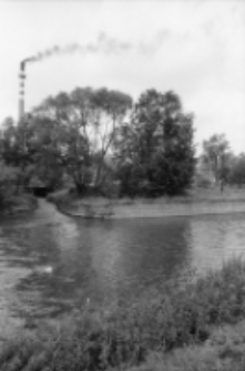 Jelenia G&oacute;ra - rzeka Kamienna (fot. 3) [Dokument ikonograficzny]