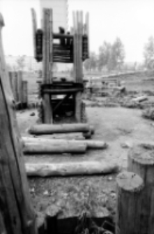 Jelenia G&oacute;ra : ogr&oacute;d przy ul. Ogińskiego (fot. 3) [Dokument ikonograficzny]