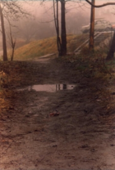 Osiedle Sp&oacute;łdzielni Mieszkaniowej Lokatorsko-Własnościowej w Trzebnicy przy ul. M. Skłodowskiej-Curie w Obornikach Śląskich, 1997 r. (fot. 3) [Dokument ikonograficzny]