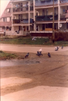Osiedle Spółdzielni Mieszkaniowej Lokatorsko-Własnościowej w Trzebnicy przy ul. M. Skłodowskiej-Curie w Obornikach Śląskich, 1997 r. (fot. 8) [Dokument ikonograficzny]