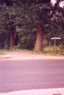 Skrzyżowanie ul. Licealnej z ul. Wyszyńskiego w Obornikach Śląskich, wrzesień 1998 r. (fot. 1) [Dokument ikonograficzny]