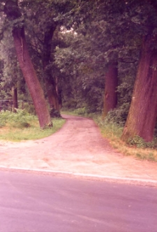 Skrzyżowanie ul. Licealnej z ul. Wyszyńskiego w Obornikach Śląskich, wrzesień 1998 r. (fot. 2) [Dokument ikonograficzny]