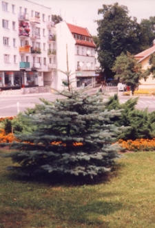 Ulica Marii Skłodowskiej-Curie przy skrzyżowaniu z ul. Dworcową w Obornikach Śląskich, 1998 r. (fot. 12) [Dokument ikonograficzny]