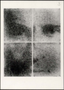 Krzysztof J. Cichosz. Witkacemu - poczt&oacute;wka [Dokumenty życia społecznego]