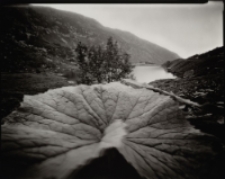 Bez tytułu [Dokument ikonograficzny]