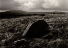 Stok Smogorni [Dokument ikonograficzny]