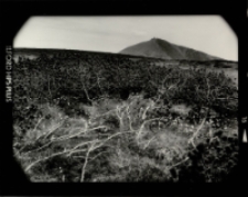 Bez tytułu [Dokument ikonograficzny]