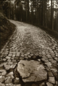 Bez tytułu [Dokument ikonograficzny]