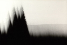 Szept regli [Dokument ikonograficzny]