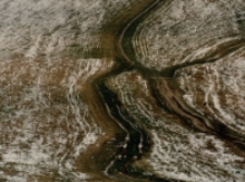 Drogi [Dokument ikonograficzny]