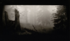 Bez tytułu [Dokument ikonograficzny]