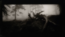 Bez tytułu [Dokument ikonograficzny]