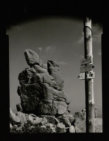 Bez tytułu [Dokument ikonograficzny]