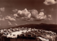 Bez tytułu [Dokument ikonograficzny]