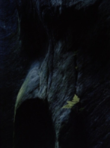 Napełnianie światłem [Dokument ikonograficzny]