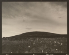 Karkonosze [Dokument ikonograficzny]