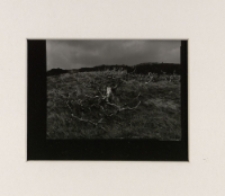 Bez tytułu [Dokument ikonograficzny]