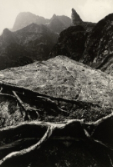 Pejzaż za Mnichem [Dokument ikonograficzny]