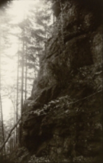 Bez tytułu [Dokument ikonograficzny]