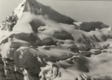 Bez tytułu [Dokument ikonograficzny]